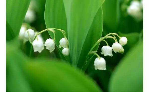 11391c633db84952d488e6c3ec130595.jpg 11391c633db84952d488e6c3ec130595.jpg