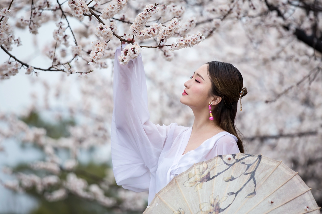 IMG_8878-1_副本_副本.jpg