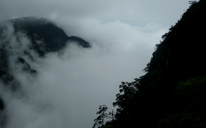 P1040092_副本.jpg