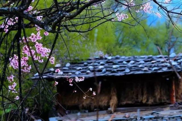 cbb9f440f7e5e6f359bdf4a21f497217.jpg cbb9f440f7e5e6f359bdf4a21f497217.jpg