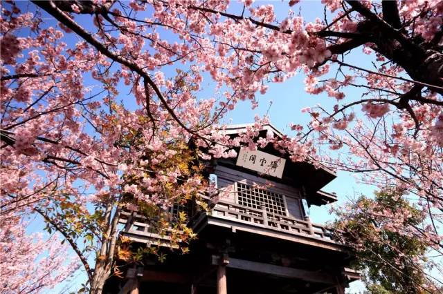 4e62c038334b67c81279d808215e4ffe.jpg 4e62c038334b67c81279d808215e4ffe.jpg