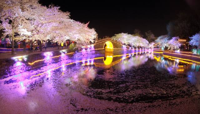 6da2064fd354faa12cc5dde36cac5a7d.jpg 6da2064fd354faa12cc5dde36cac5a7d.jpg