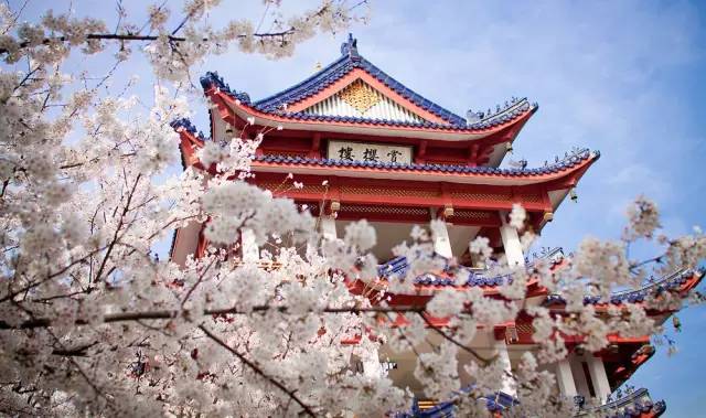 9a91c0d4cb22d8837fc665b2a6708167.jpg 9a91c0d4cb22d8837fc665b2a6708167.jpg