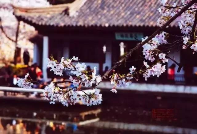 e046eb75eaffd73039d2f94d53f1c708.jpg e046eb75eaffd73039d2f94d53f1c708.jpg