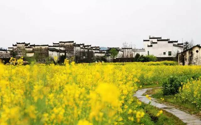 e9e2092e3fa94f972a6b9300efc6368e.jpg e9e2092e3fa94f972a6b9300efc6368e.jpg