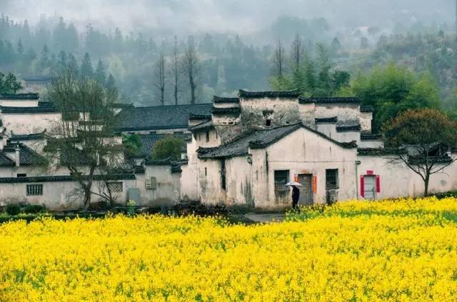 e9ae25fba72652ec7977b800f62a9378.jpg e9ae25fba72652ec7977b800f62a9378.jpg