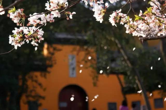 26e6d3731027a5a46f076ebee3ca19e6.jpg 26e6d3731027a5a46f076ebee3ca19e6.jpg