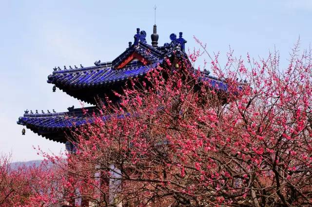 4f3497f815468c001796ce760c764e2f.jpg 4f3497f815468c001796ce760c764e2f.jpg