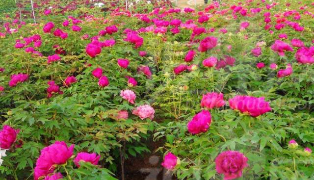 f6d103111e62450b05ea013c367bef7c.jpg f6d103111e62450b05ea013c367bef7c.jpg