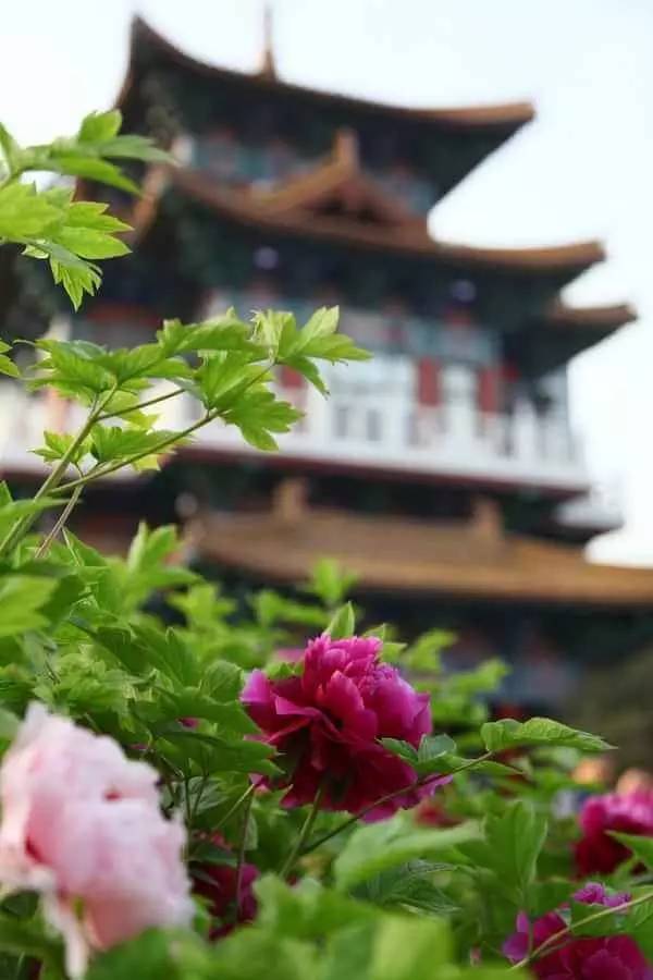 aebbe5ab7cd426f0aa0edf2cc104107c.jpg aebbe5ab7cd426f0aa0edf2cc104107c.jpg