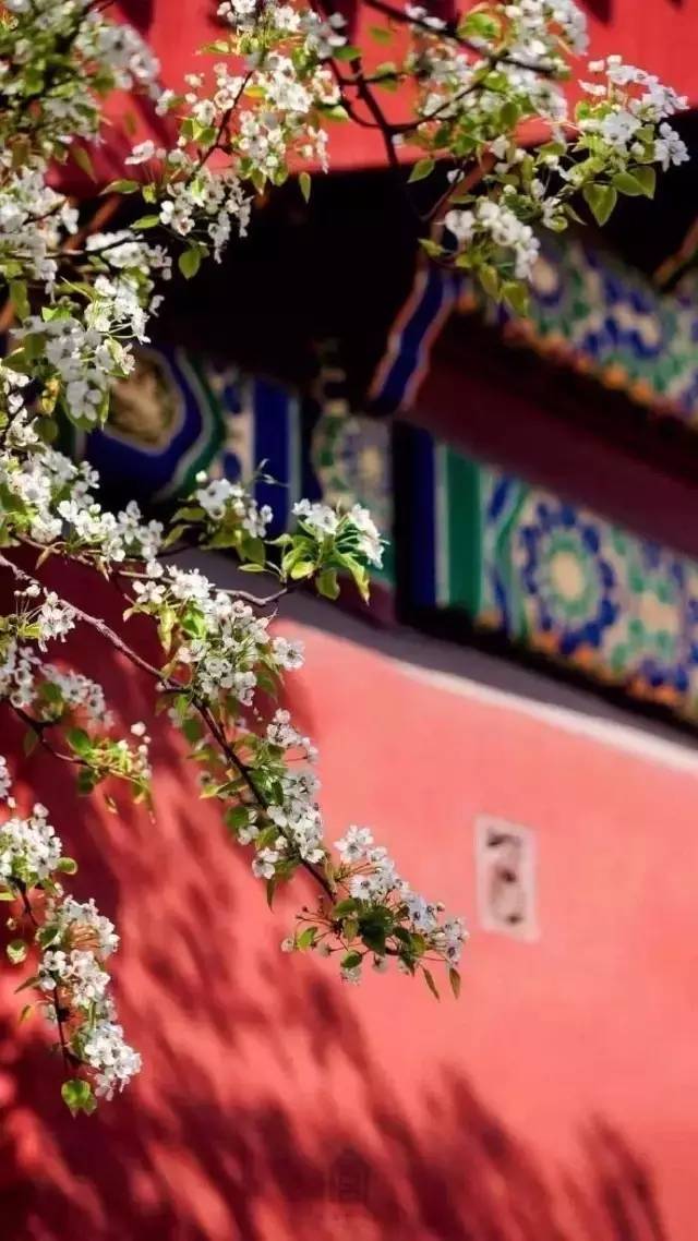 a4491ba9ad63def8837aefa3cb740615.jpg a4491ba9ad63def8837aefa3cb740615.jpg