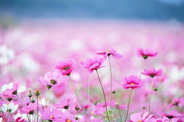 5b0fdbc297d7c20b1b0f4cdb135bc7cc.jpg 5b0fdbc297d7c20b1b0f4cdb135bc7cc.jpg