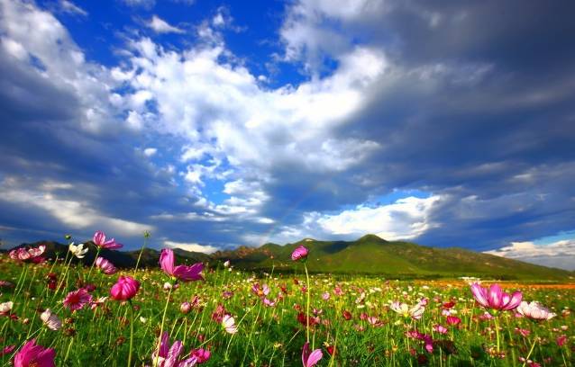 039cccfc473fb06840956fe1d62a7954.jpg 039cccfc473fb06840956fe1d62a7954.jpg