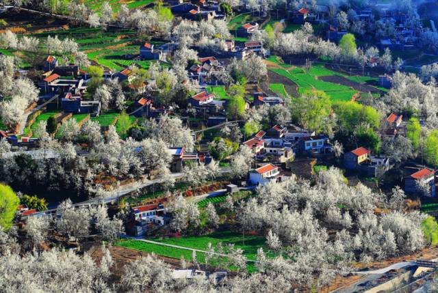 ebc86aeefee185e6b7b1b5d70f231a72.jpg ebc86aeefee185e6b7b1b5d70f231a72.jpg