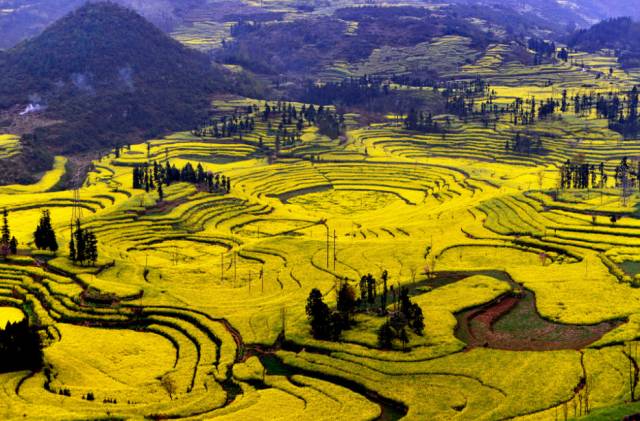 06824cbe467aca53f6070495c46f2b85.jpg 06824cbe467aca53f6070495c46f2b85.jpg