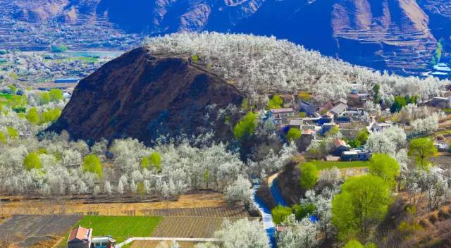 1838fdbb503de1cb6e72cd6ce3b0eeb1.jpg 1838fdbb503de1cb6e72cd6ce3b0eeb1.jpg