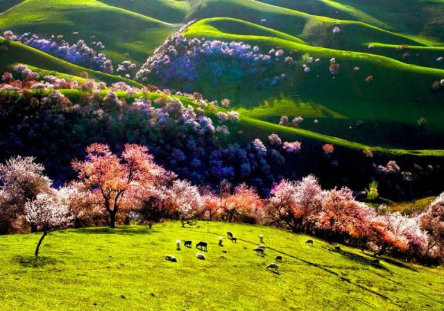 b55f16e40a684c8c12164625788b296a.jpg b55f16e40a684c8c12164625788b296a.jpg