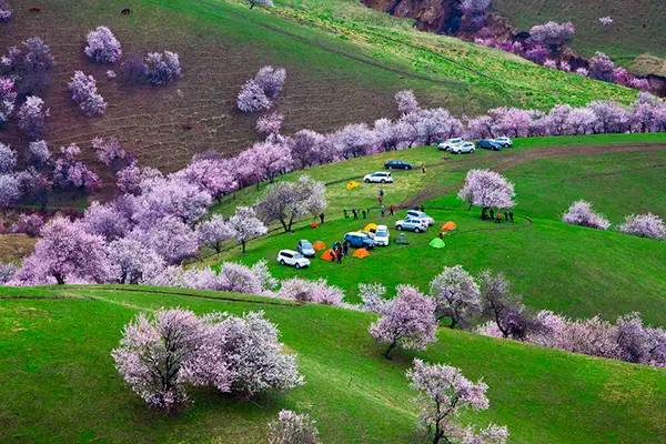 4c172b7acae1afbea98c2686b1224a92.jpg 4c172b7acae1afbea98c2686b1224a92.jpg