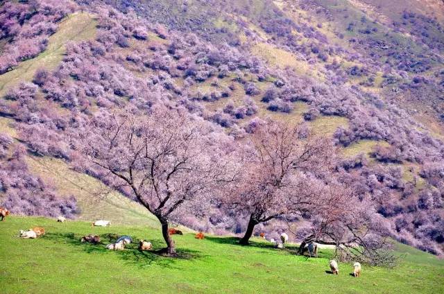 6ce6667875c3b65a3e83f5502ea40347.jpg 6ce6667875c3b65a3e83f5502ea40347.jpg