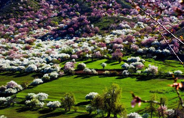 9d71d8a878711b0d2536d293ceaf818e.jpg 9d71d8a878711b0d2536d293ceaf818e.jpg