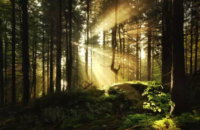 93afb3ca80dc9ae716ac58fd56fae7fd.jpg 93afb3ca80dc9ae716ac58fd56fae7fd.jpg