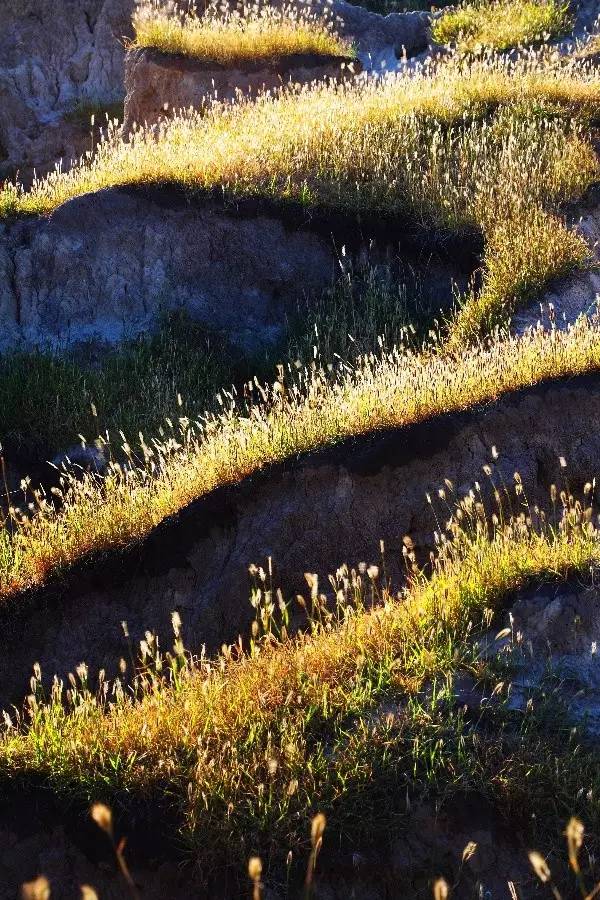 eb125413ae36a958bb7c265d284392ba.jpg eb125413ae36a958bb7c265d284392ba.jpg