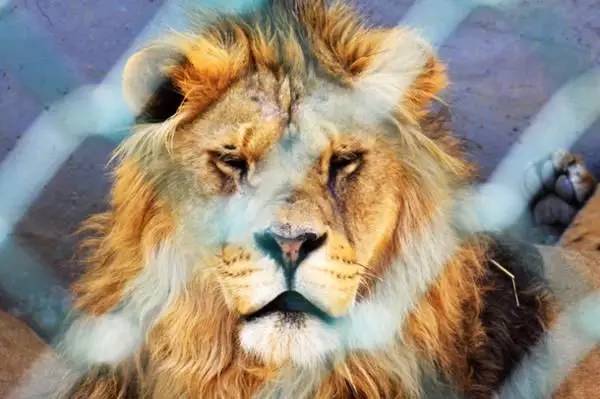 82da580f23b084f0bc13b60d3d4300b9.jpg 82da580f23b084f0bc13b60d3d4300b9.jpg