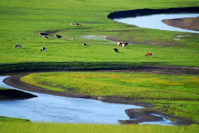 9b0ddced82ab1b33e836ee0b0d7ddc36.jpg 9b0ddced82ab1b33e836ee0b0d7ddc36.jpg