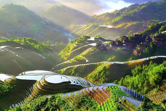 fded004d97ff79a663d544c75f782f9c.jpg fded004d97ff79a663d544c75f782f9c.jpg