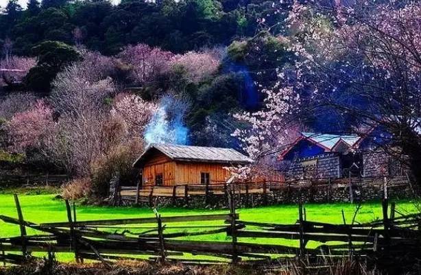 d0c27ae060b89f973d8ff6ea464dcd18.jpg d0c27ae060b89f973d8ff6ea464dcd18.jpg