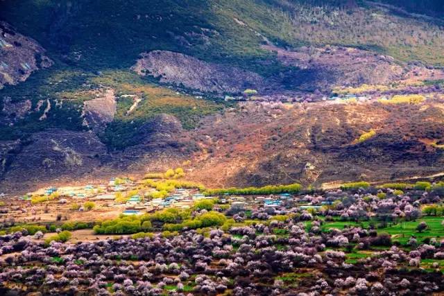 9e68a16e361892a66e7c2af4fc9b13c7.jpg 9e68a16e361892a66e7c2af4fc9b13c7.jpg