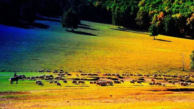 78c6e87d55af720ed677d1ee344c3897.jpg 78c6e87d55af720ed677d1ee344c3897.jpg