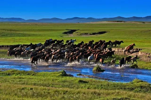 ee4ce26fef2799367efe5b6a201335e7.jpg ee4ce26fef2799367efe5b6a201335e7.jpg