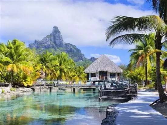 df4c881da28b29a6795a476bb029f878.jpg df4c881da28b29a6795a476bb029f878.jpg