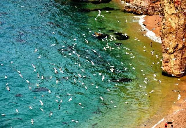 6035569dc7bd00813d95992120a94d39.jpg 6035569dc7bd00813d95992120a94d39.jpg