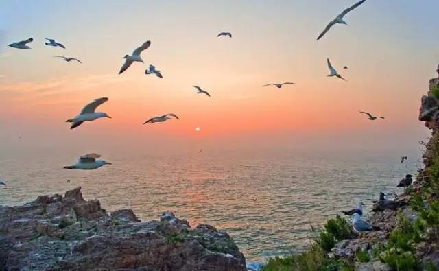 5987be5732a4a9fed755d2709b2d69ff.jpg 5987be5732a4a9fed755d2709b2d69ff.jpg