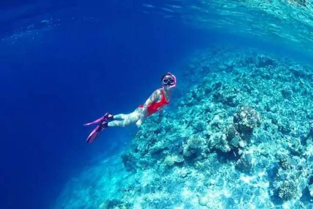 8442be629e621736e7ecd85d9bbec8cf.jpg 8442be629e621736e7ecd85d9bbec8cf.jpg