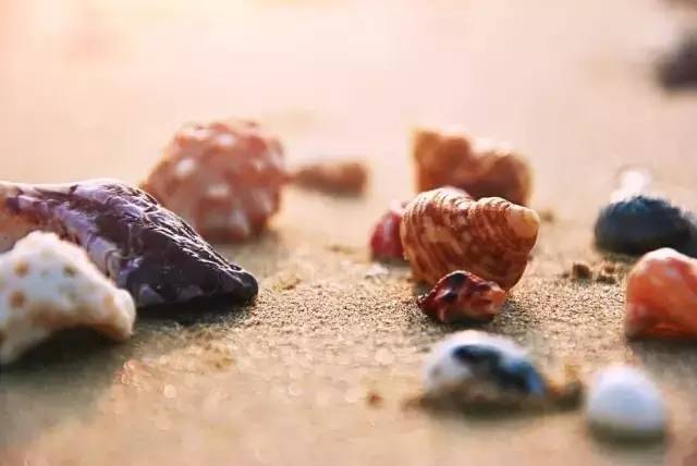 8e14ffc75e5db257ac7c9ae06669e79e.jpg 8e14ffc75e5db257ac7c9ae06669e79e.jpg