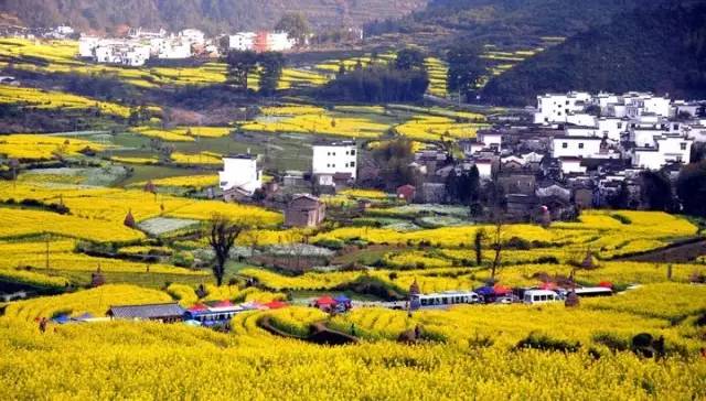 03f0e3383eebd96dbd529d63da3e753c.jpg 03f0e3383eebd96dbd529d63da3e753c.jpg