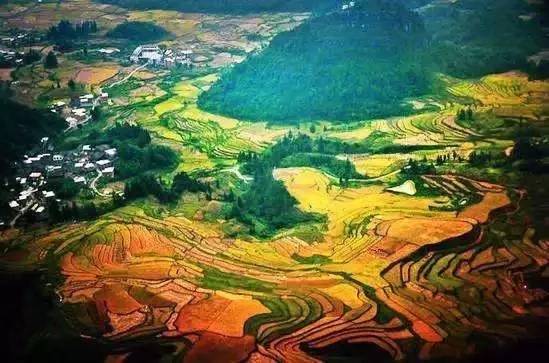 d34c7643c4eb4e60c21aaf8fae88e39a.jpg d34c7643c4eb4e60c21aaf8fae88e39a.jpg