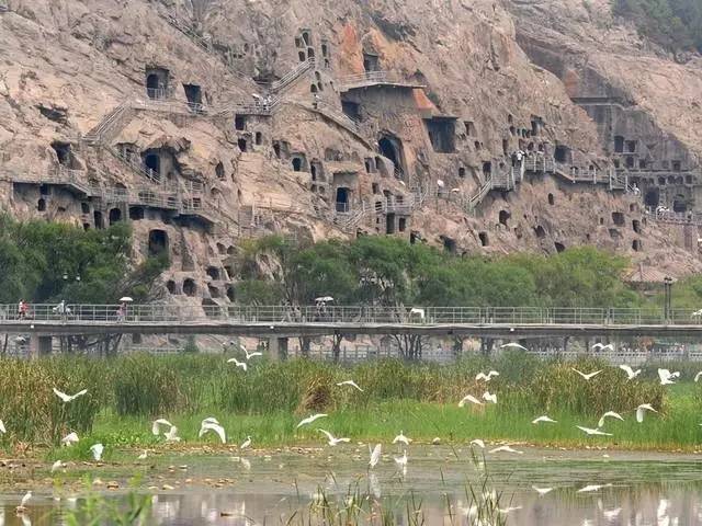 027f564470ee2dd83611eda89e2b5ef6.jpg 027f564470ee2dd83611eda89e2b5ef6.jpg