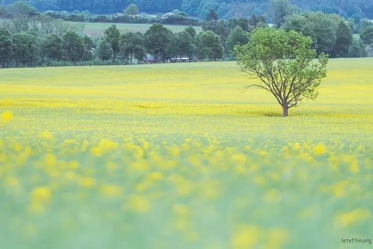 69ba1f28b788644ad5965ee0fed62649.jpg 69ba1f28b788644ad5965ee0fed62649.jpg