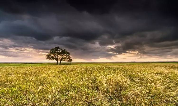 9eb94b26914cb6575b3eace94c40c19f.jpg 9eb94b26914cb6575b3eace94c40c19f.jpg