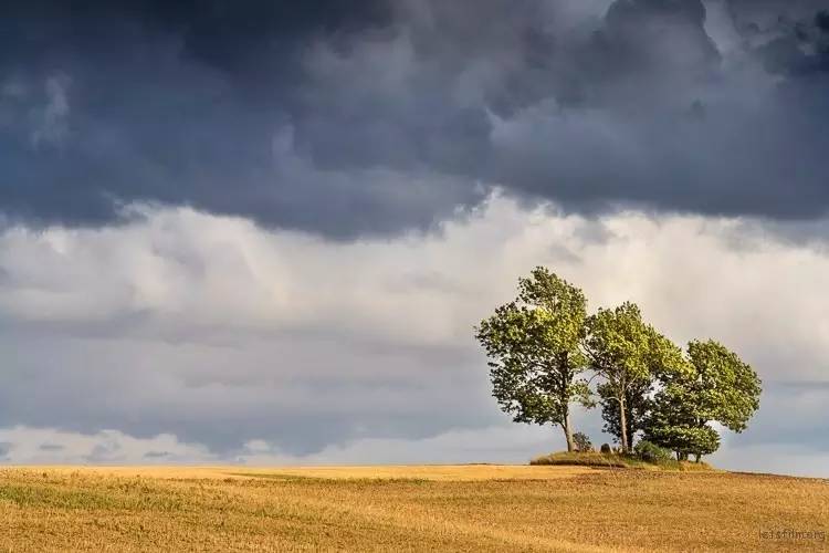 bef5cf03d265059ad49c8f76ab152f92.jpg bef5cf03d265059ad49c8f76ab152f92.jpg