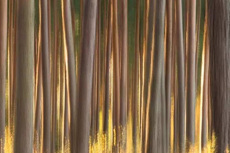 206d6e6d50506dc2f259a206278ce6f5.jpg 206d6e6d50506dc2f259a206278ce6f5.jpg