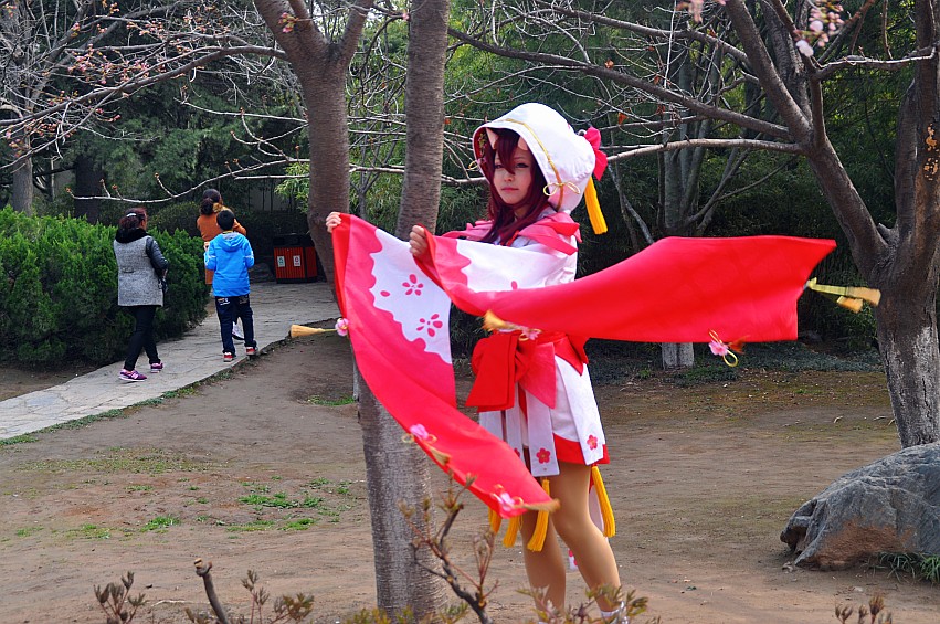 DSC_0013_conew1.jpg