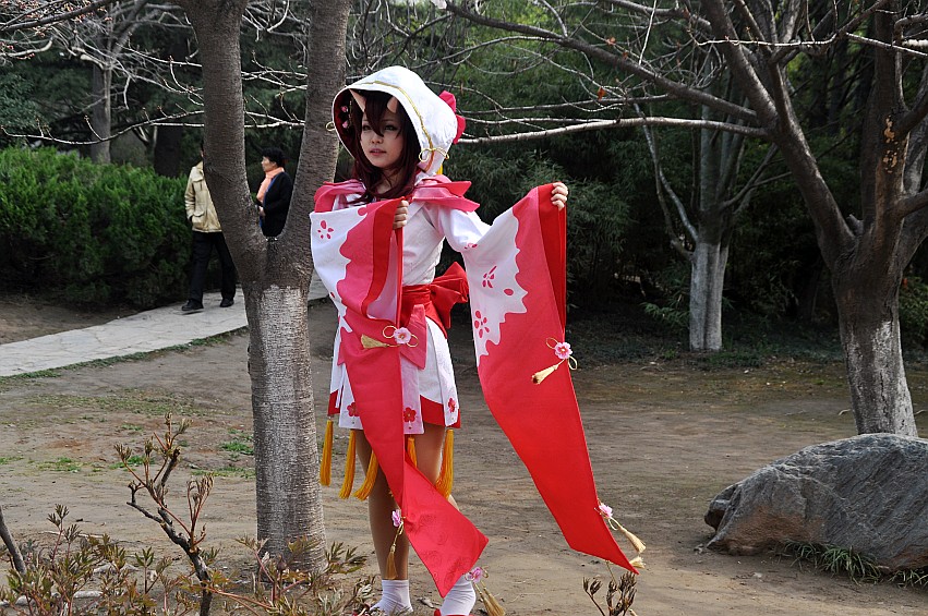 DSC_0016_conew1.jpg