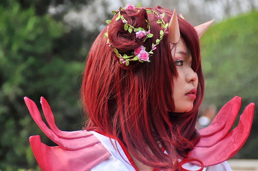 DSC_0065_conew1.jpg
