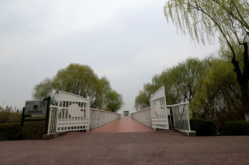 C24T3748_conew1_副本.jpg1.jpg