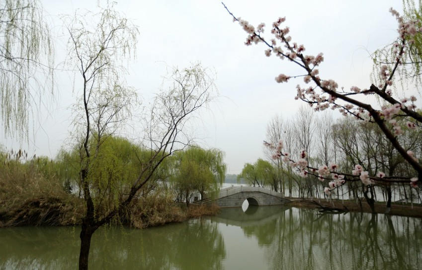 C24T3754_conew1_副本.jpg1.jpg